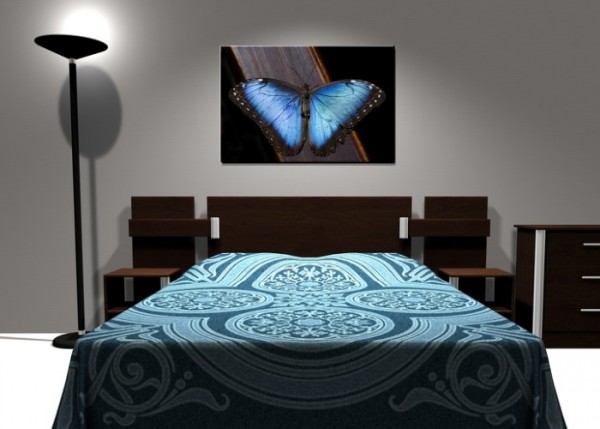 Wandbild - Blue Butterfly | wandtattooladen.de