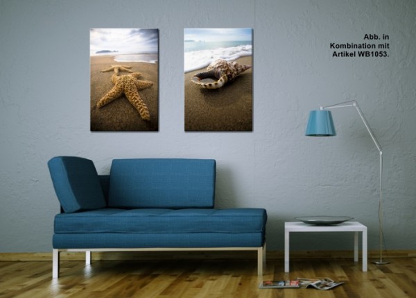 Wandbild - Seestern | wandtattooladen.de