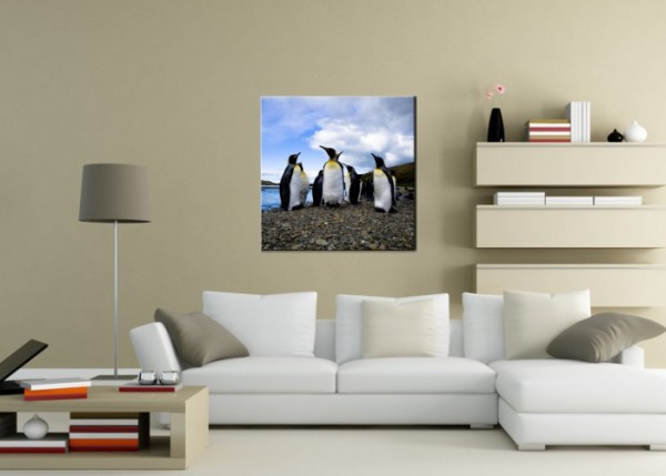 Wandbild - Pinguine | wandtattooladen.de