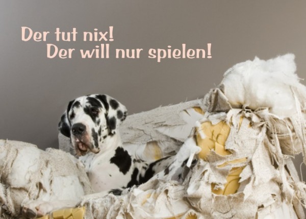 Wandtattoo Der tut nix! Der will nur spielen! | wandtattooladen.de